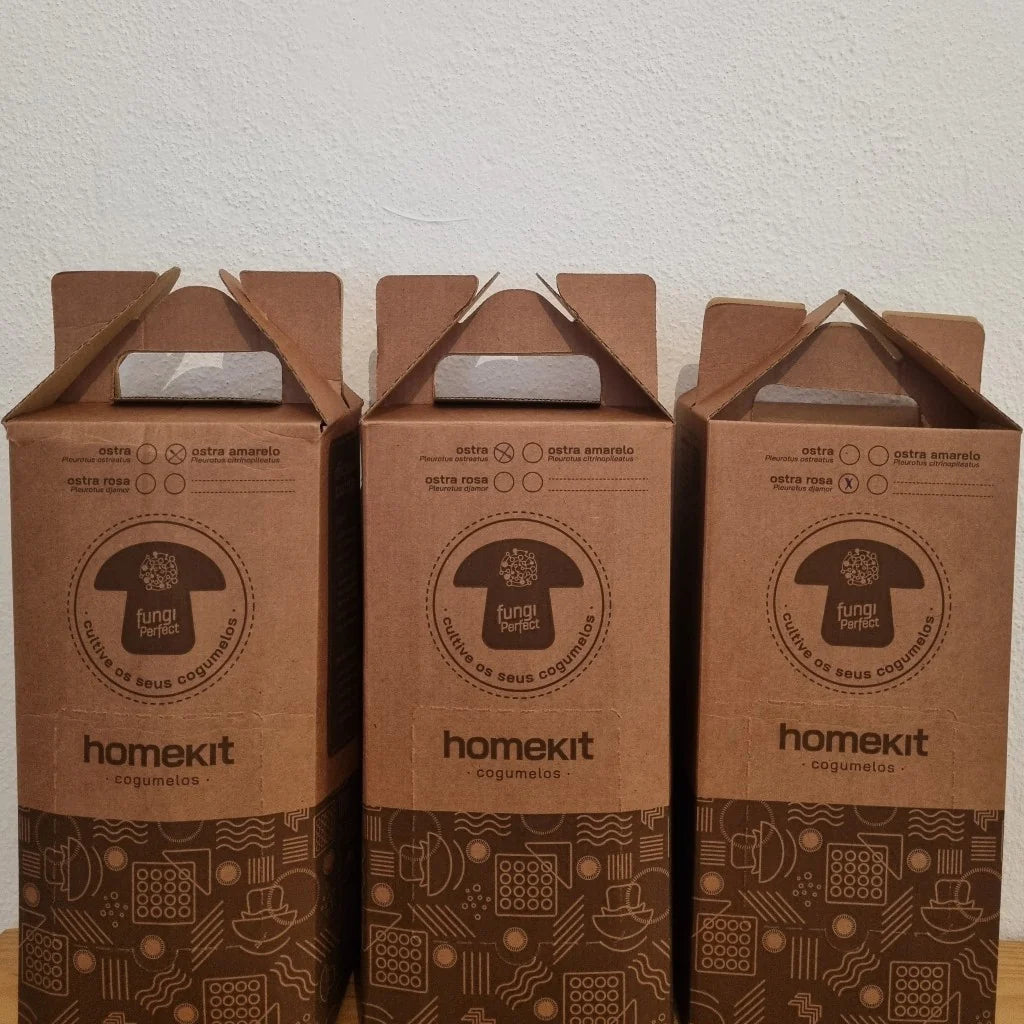 Kit Cogumelo Champignon (agaricus bisporus)