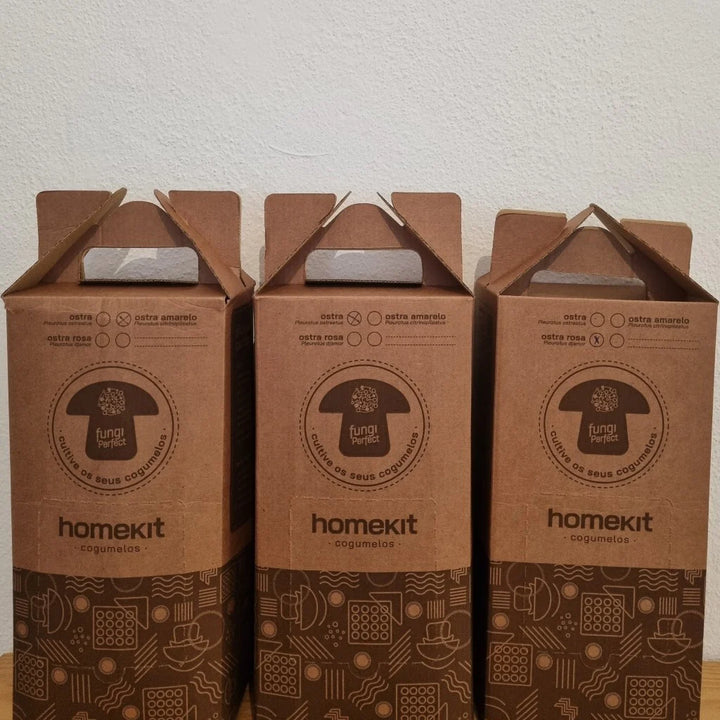 Kit Cogumelo Champignon (agaricus bisporus)