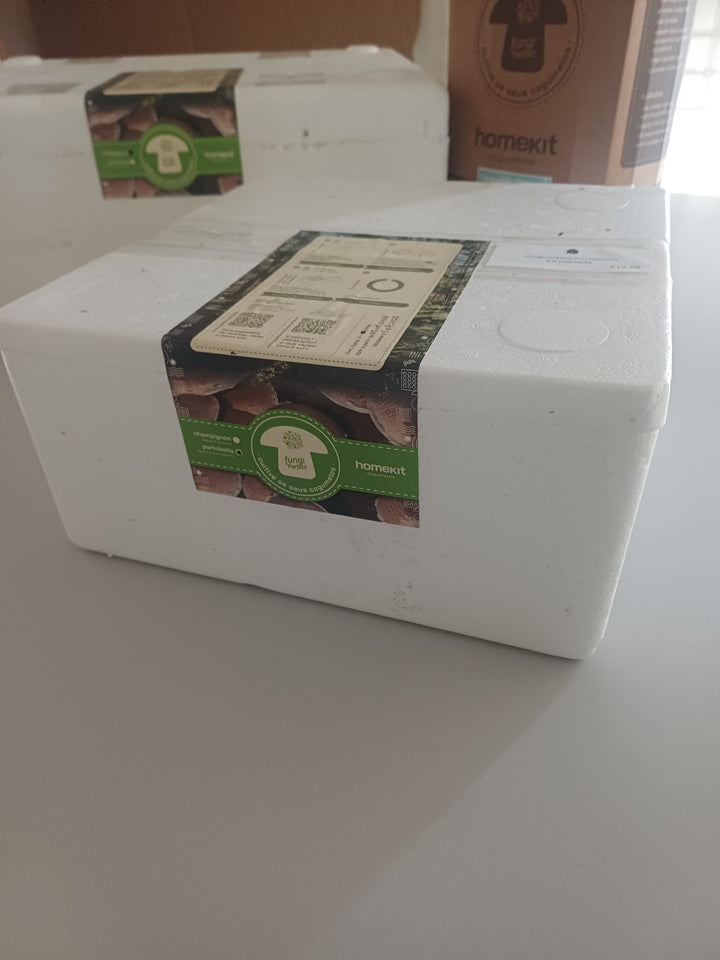 Kit Cultivo Cogumelos Portobello (agaricus brunnescens)