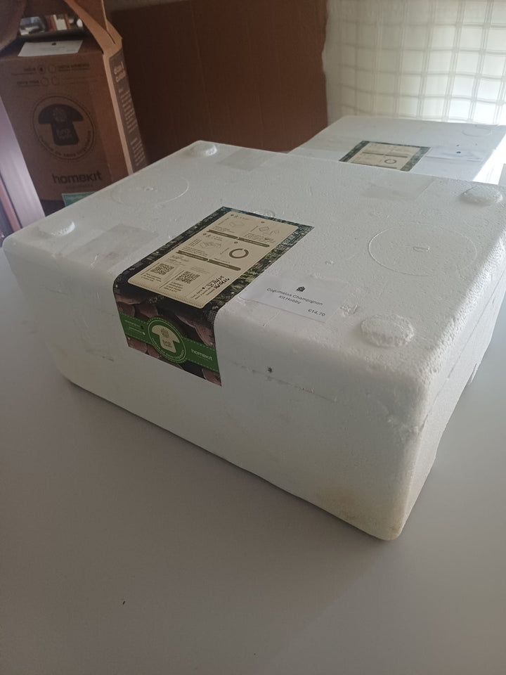 Kit Cultivo Cogumelos Champignon (agaricus bisporus)